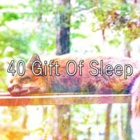 40 Gift of Sleep