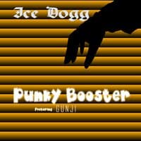 Punky Booster