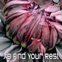 78 Find Your Rest