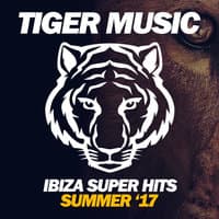 Ibiza Super Hits (Summer '17)