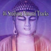 46 Studying Natural Tracks