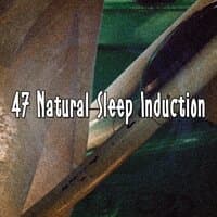 47 Natural Sleep Induction