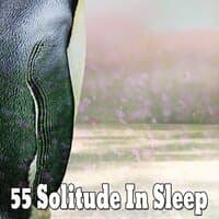 55 Solitude In Sleep