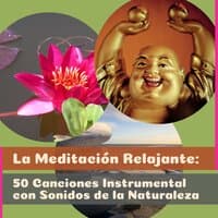 La Meditación Relajante: 50 Canciones Instrumental con Sonidos de la Naturaleza - Música de Armonia, de la Flauta, Guitarra, En Compañía de Piano, Musica Reiki Relajación, Yoga Clase, Zen Espiritualidad Ambiente y Dormir Descansar