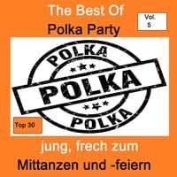 Top 30: The Best Of Polka Party - Jung, frech zum Mittanzen und -feiern, Vol. 5