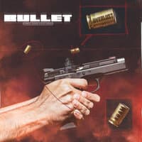 Bullet