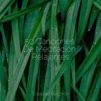 50 Canciones De Meditación Relajantes