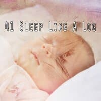 41 Sleep Like a Log