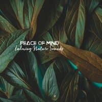 Peace of Mind - Calming Nature Sounds with Relaxing Music for Healing, Meditation and Sleeping