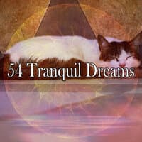 54 Tranquil Dreams