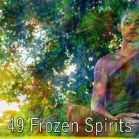 49 Frozen Spirits