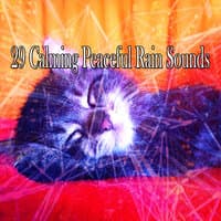 29 Calming Peaceful Rain Sounds