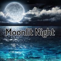 Moonlit Night