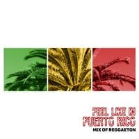 Feel Like in Puerto Rico: Mix of Reggaeton