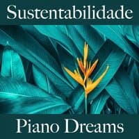 Sustentabilidade: Piano Dreams - A Melhor Música Para Relaxar