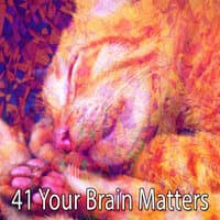 41 Your Brain Matters