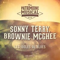 Les Idoles Du Blues: Sonny Terry Et Brownie McGhee, Vol. 1