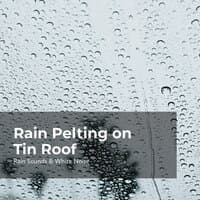 Rain Pelting on Tin Roof