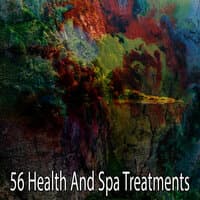 56 Health and Spa Treatments