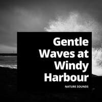 Gentle Waves at Windy Harbour