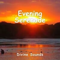 Evening Serenade