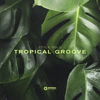 Tropical Groove