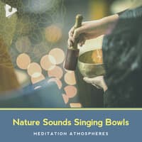 Singing Bowl Meditation