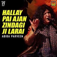 Hallay Pai Ajan Zindagi Ji Larai, Vol. 17