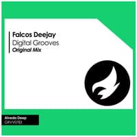 Digital Grooves