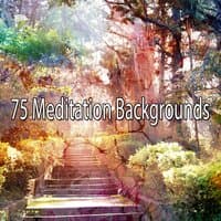 75 Meditation Backgrounds