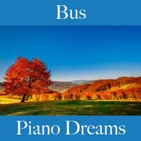 Bus: Piano Dreams - The Best Sounds For Relaxation