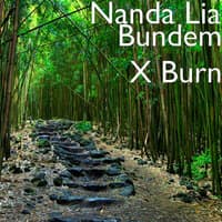 Bundem X Burn