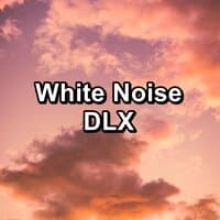 White Noise DLX