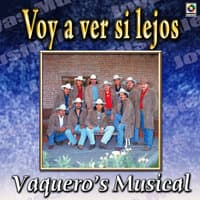 Joyas Musicales, Vol. 1: Voy A Ver Si Lejos