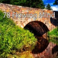 78 Flowing Mind