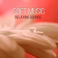 Soft Music Relaxing Sounds - Vinyasa Flow Yoga, Soothing Chill Out Music for Power Yoga, Acro Yoga, Yoga Lounge, Power Pilates and Yoga Asanas