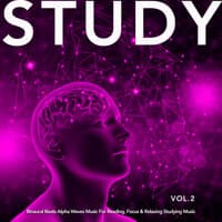 Study: Binaural Beats Alpha Waves Music For Reading, Focus & Relaxing Studying Music, Vol. 2