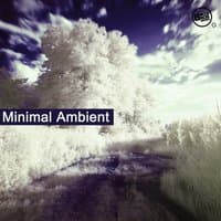 Minimal Ambient