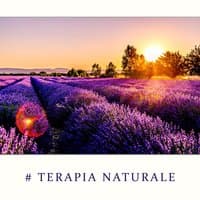 # Terapia naturale - Alleviare lo stress, Meditazione curativa, Reiki, Aumenta l'energia positiva, Fermare l'ansia