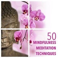 50 Mindfulness Meditation Techniques with Meditation Relax Music Instrumental Collection