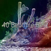 40 Bedtime Rest