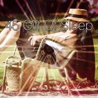 45 Gift of Sleep