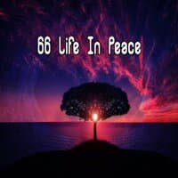 66 Life In Peace