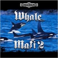 Whale Mafi 2