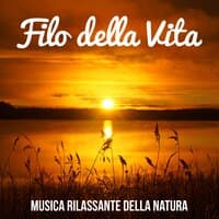 Filo della Vita - Musica Rilassante della Natura per Pensare Positivo Meditazione Yoga Allenare la Mente con Suoni New Age Strumentali