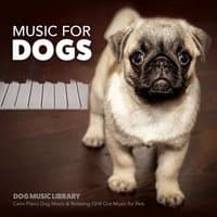 Music for Dogs: Calm Piano Music for Dogs & Relaxing Chill out Music for Pets