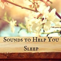 Sounds to Help You Sleep - Sleep Aid and Sound of Nature Ambience for Sleeping