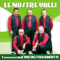 I successi dell'Orchestra Bagutti, Vol. 1