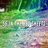 56 In The Bed Sheets