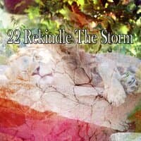 22 Rekindle the Storm